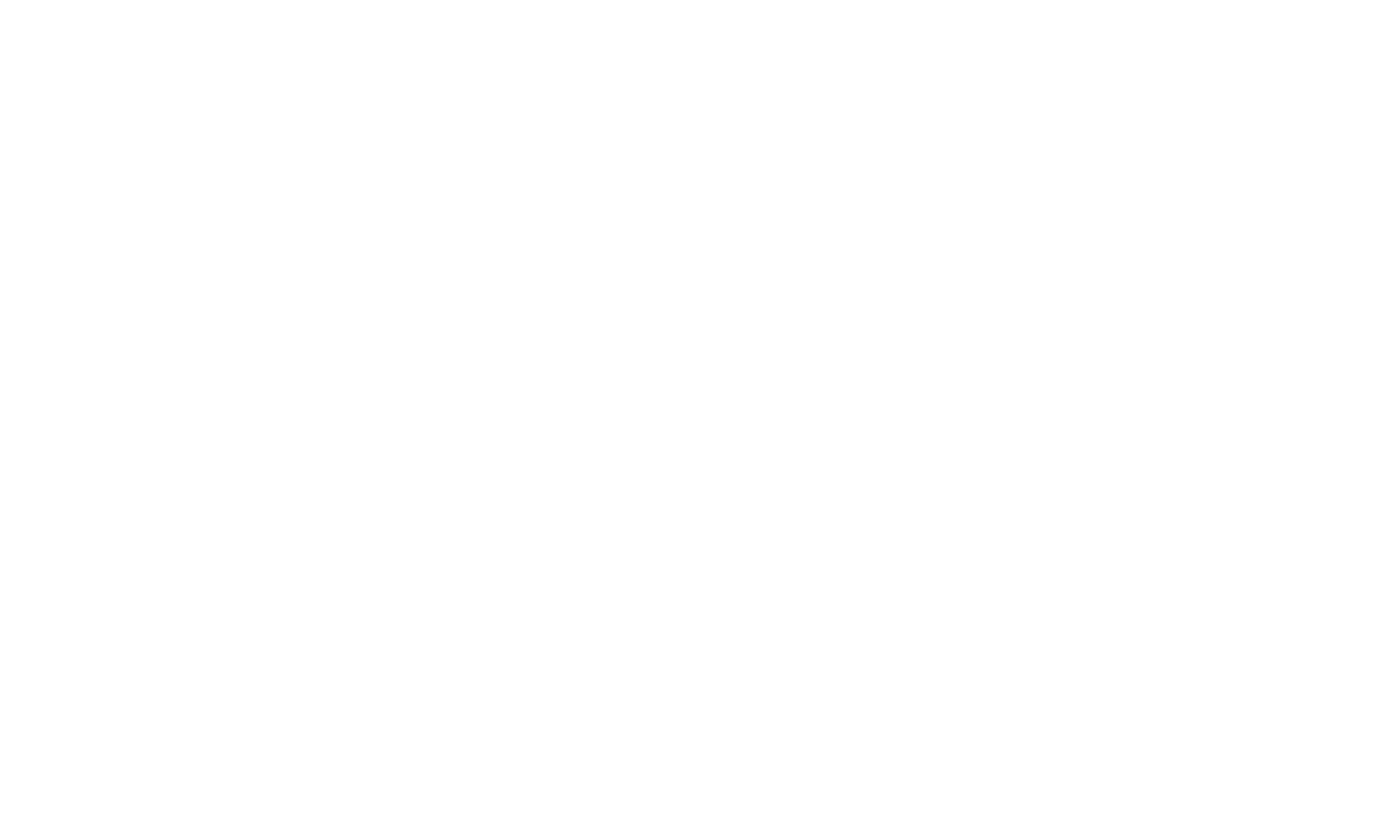 Flip-Tech AI